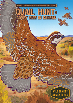 Quail Hunt: Covey Rise in Kansas: Covey Rise in Kansas