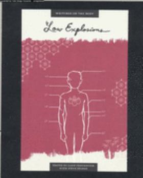Paperback Low Explosions Book