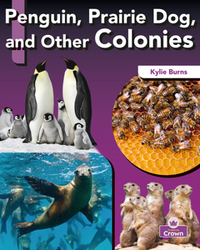 Paperback Penguin, Prairie Dog, and Other Colonies Book