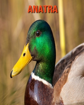 Anatra: Foto stupende e fatti divertenti Libro sui Anatra per bambini (Italian Edition)