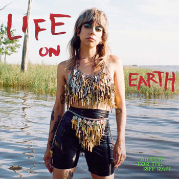 Vinyl Life On Earth Book