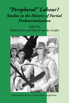 Peripheral Labour: Studies in the History of Partial Proletarianization (International Review of Social History Supplements) - Book  of the International Review of Social History Supplements