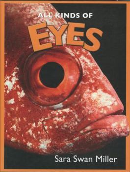 Library Binding All Kinds of Eyes Book