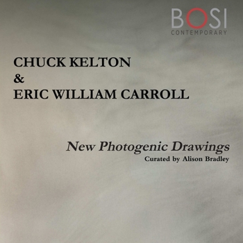 Paperback New Photogenic Drawings Book