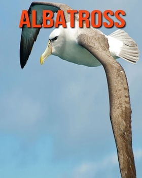 Paperback Albatross: Childrens Book Amazing Facts & Pictures about Albatross Book