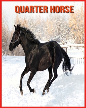 Paperback Quarter Horse: Informations Tr?s Amusantes et Photos Etonnantes [French] Book