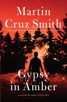 Gypsy in Amber - Book #1 of the Roman Grey