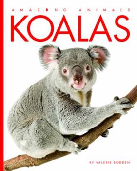 Hardcover Koalas Book