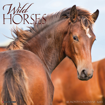 Calendar Wild Horses 2023 Wall Calendar Book