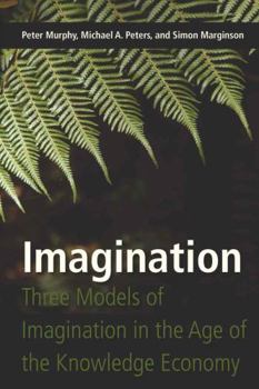Paperback Imagination: Three Models of Imagination in the Age of the Knowledge Economy Book