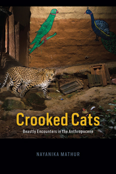 Paperback Crooked Cats: Beastly Encounters in the Anthropocene Book