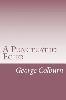 Paperback A Punctuated Echo Book