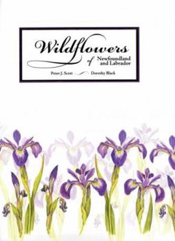 Hardcover Wildflowers of Newfoundland and Labrador Book
