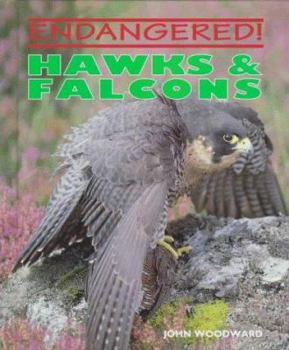 Hardcover Hawks & Falcons Book