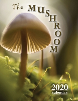 Paperback The Mushroom 2020 Calendar Book