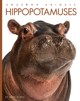 Hippopotamuses - Book  of the Amazing Animals