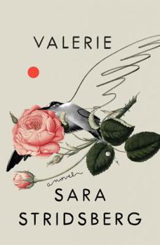 Hardcover Valerie: Or, the Faculty of Dreams: A Novel Book