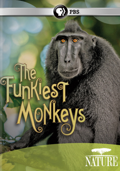 DVD Nature: The Funkiest Monkeys Book
