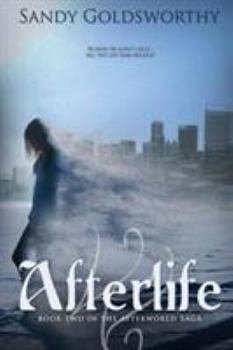 Paperback Afterlife Book
