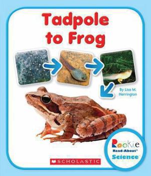Paperback Tadpole to Frog (Rookie Read-About Science: Life Cycles) Book