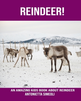 Paperback Reindeer! An Amazing kids Book About Reindeer Book