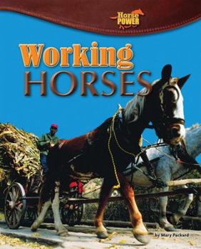 Library Binding Working Horses Book