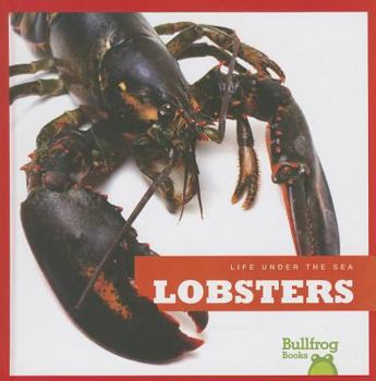 Lobsters - Book  of the Life Under the Sea