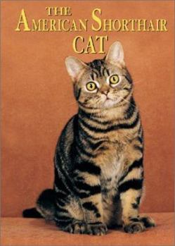 Hardcover The American Shorthair Cat Book