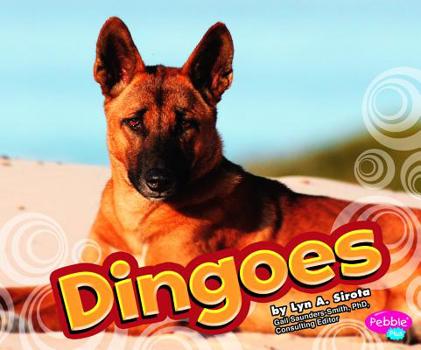 Dingoes - Book  of the Australian Animals