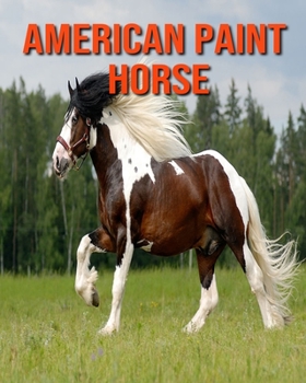 Paperback American Paint Horse: Fun Facts and Amazing Photos of Animals in Nature Book