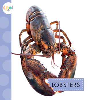 Paperback Lobsters Book