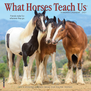 Calendar What Horses Teach Us 2021 Mini Wall Calendar Book
