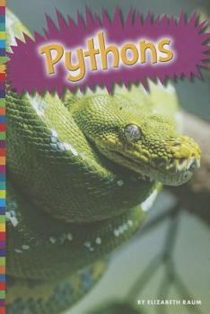 Library Binding Pythons Book