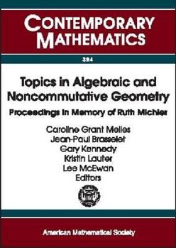 Paperback Topics in Algebraic and Noncommutative Geometry Book