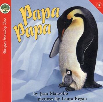 Board book Papa Papa Book