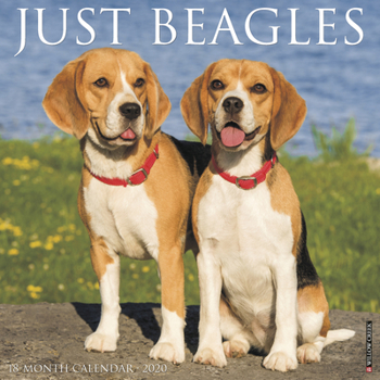 Calendar Just Beagles 2020 Wall Calendar (Dog Breed Calendar) Book