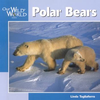 Paperback Polar Bears Book