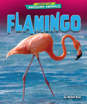 Library Binding Flamingo Book