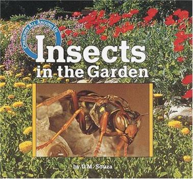 Hardcover Insects in the Garden Book