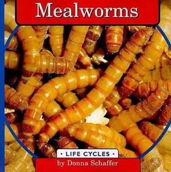 Mealworms (Life Cycles.) - Book  of the Life Cycles