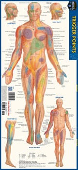 Misc. Trigger Points: A Quickstudy Laminated Anatomy Reference Guide Book
