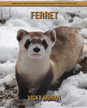 Paperback Ferret: Amazing Facts and Pictures about Ferret for Kids Book