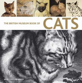 Paperback British Museum Book of Cats Book
