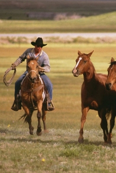 Paperback 2020 Daily Planner Horse Photo Equine Cowboy Herding Ranch 388 Pages: 2020 Planners Calendars Organizers Datebooks Appointment Books Agendas Book