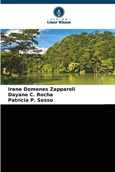 Einzugsgebiet des Paranapanema, Brasilien:: Wirtschaftliche Bewertung in der Wasserbilanz