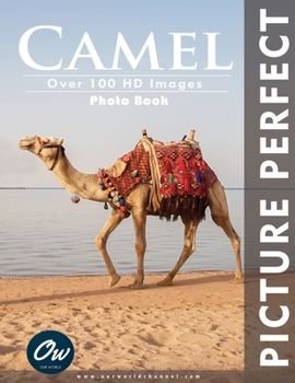 Paperback Camel: Picture Perfect Photo Book
