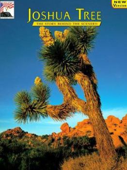 Paperback Joshua Tree: The Story Behind the Scenery Book