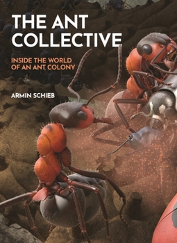 Hardcover The Ant Collective: Inside the World of an Ant Colony Book