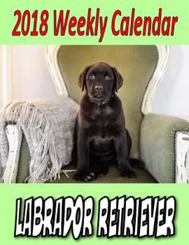 2018 Weekly Calendar Labrador Retriever