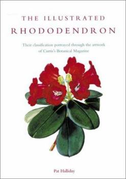 Hardcover The Illustrated Rhododendron: Their Classification Portrayed Through the Artwork of Curtis's Botanical Magazine Book